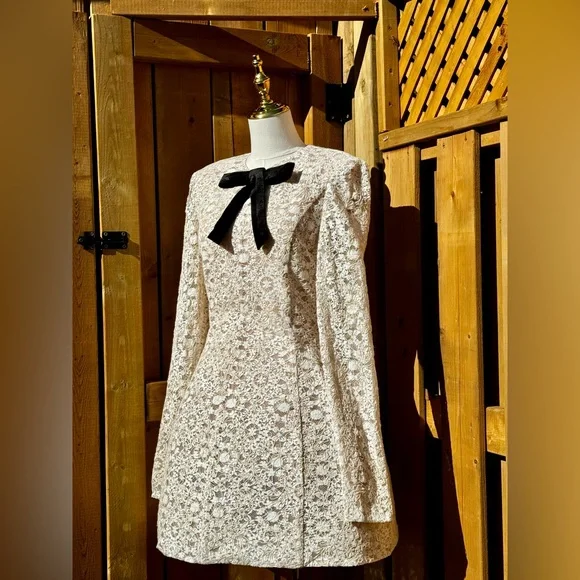 🆕 BRONX & BANCO 🧿 NWOT Courtney Long Sleeve White Lace Mini Dress - Size XL/10 - Picture 5 of 16